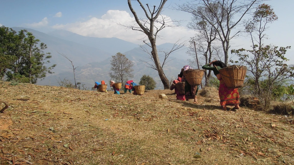 Volontariat & Trek Culturel à Nuwakot | 10 Jour