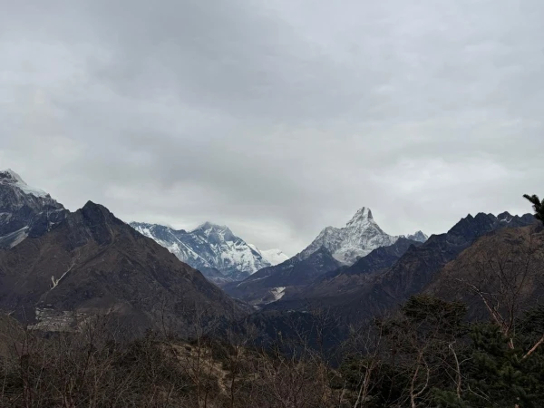 2e020319 7050 49c0 A92f B43185f567ed