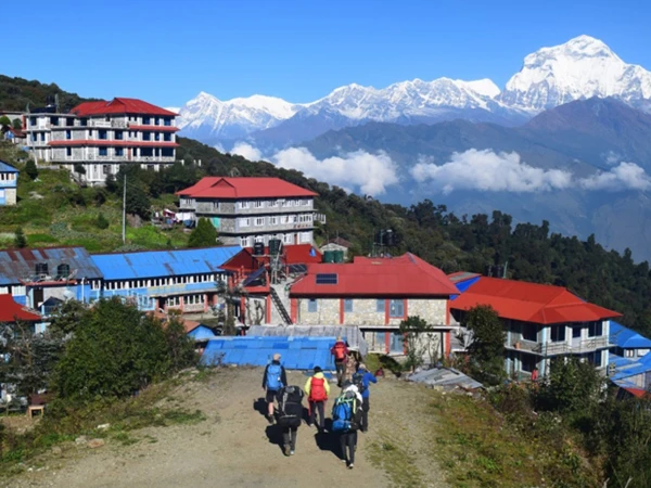 Poon Hill Trek