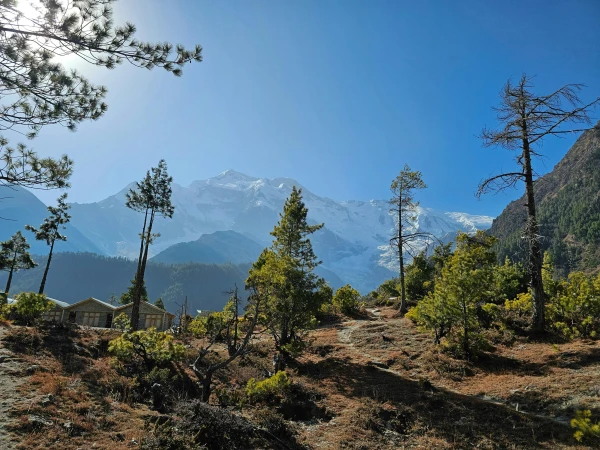 trek manaslu 10 jours